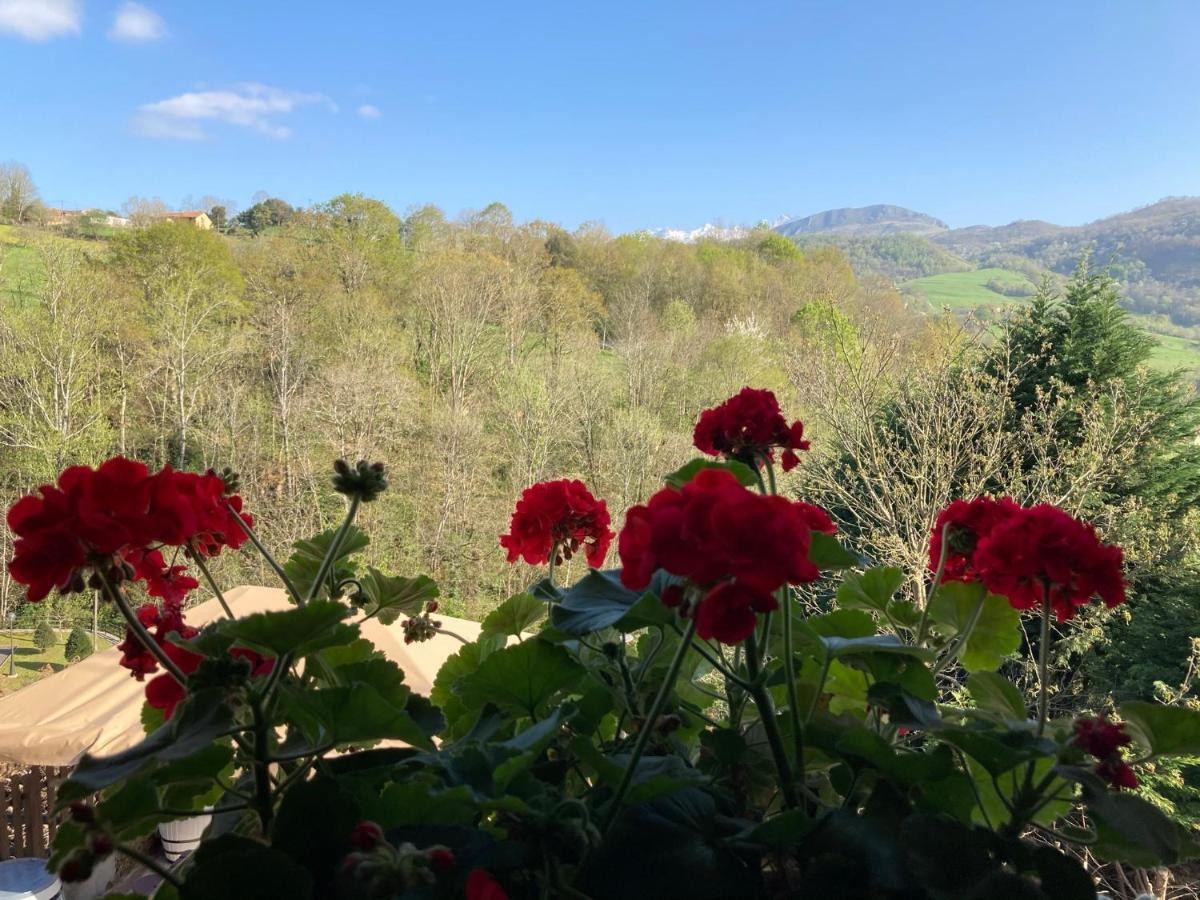 Casa Elena Cangas De Onis Con Wifi Y Parking Gratuito المظهر الخارجي الصورة