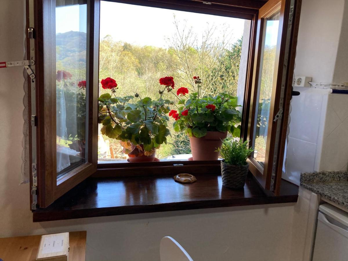 Casa Elena Cangas De Onis Con Wifi Y Parking Gratuito المظهر الخارجي الصورة