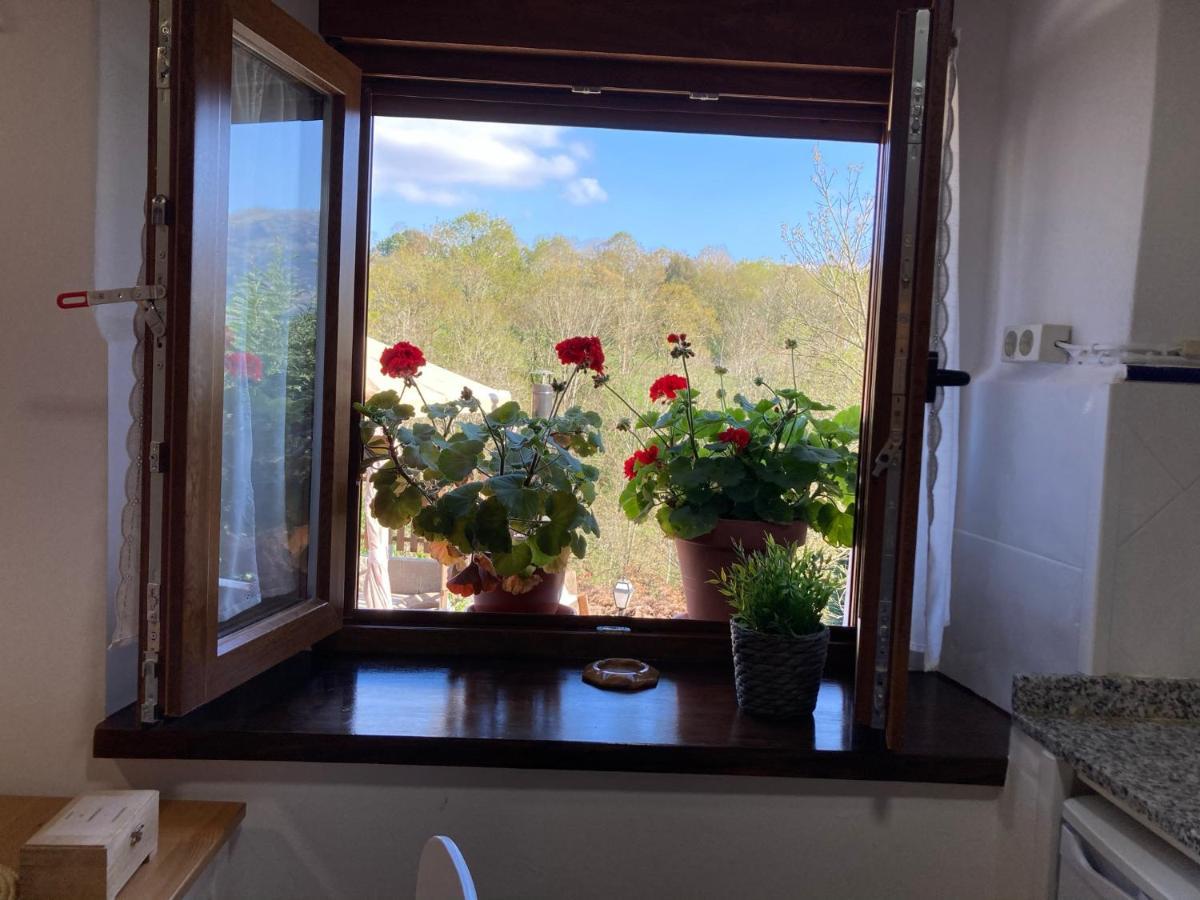 Casa Elena Cangas De Onis Con Wifi Y Parking Gratuito المظهر الخارجي الصورة