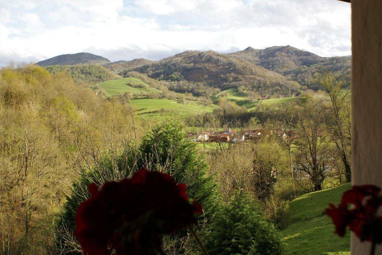 Casa Elena Cangas De Onis Con Wifi Y Parking Gratuito المظهر الخارجي الصورة